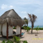 Summer Survey: Favorite Reading Spot BEACH BED with copyright