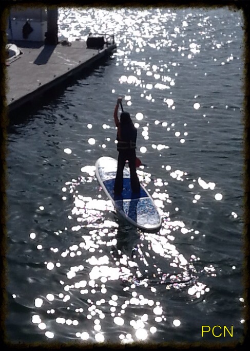 Everything I Needed to Know I Learned While Paddleboarding – Pop ...