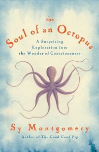 soul of octopus