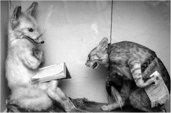 reading-fox