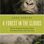 Nerdy Special List February 2018 forest in clouds